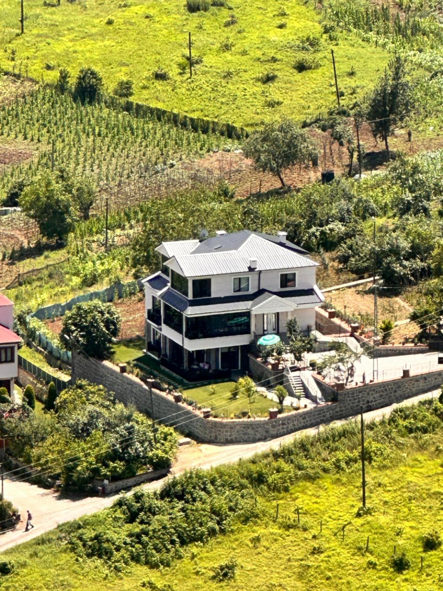 Vilă Fuays Premium